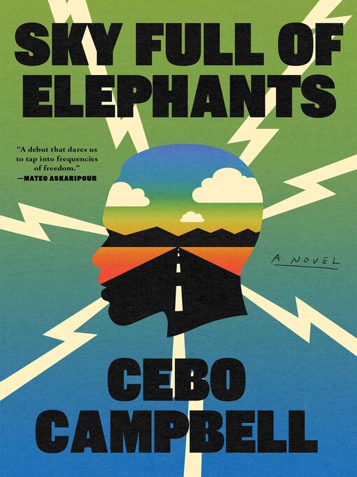 Title details for Sky Full of Elephants by Cebo Campbell - Wait list